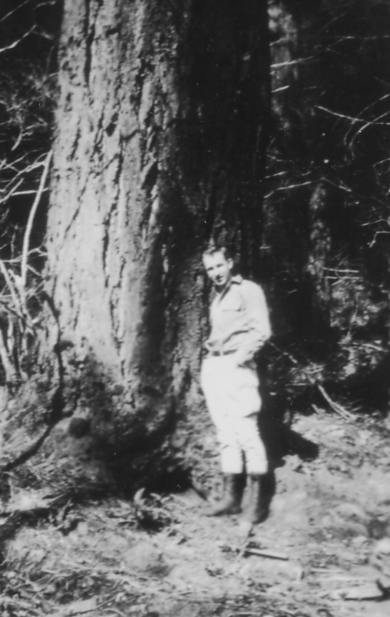 CLICK TO ENLARGE